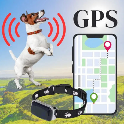 Collier GPS pour Chien Intelligent Résistant à l'Eau et à la Poussière