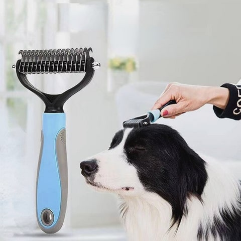 Brosse de toilettage pour animaux de compagnie