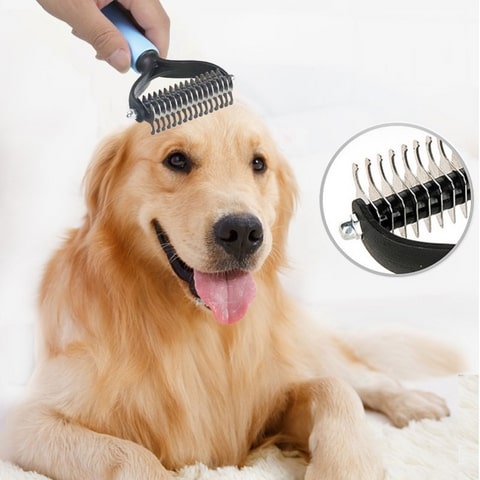 Brosse de toilettage pour animaux de compagnie