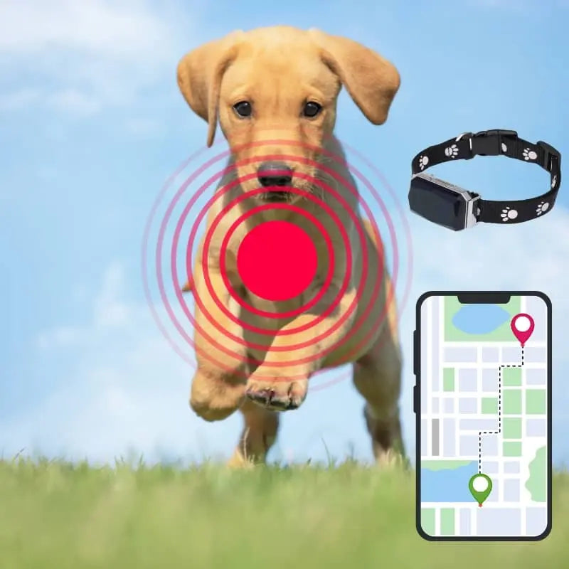 Collier GPS pour Chien Intelligent Résistant à l'Eau et à la Poussière