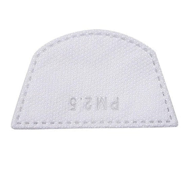 Masque de Protection Facial avec Filtre - Noir - Plumzi
