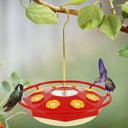 Mangeoire Transparente Multi-Port pour Colibris en Plein Air - Default Title - Plumzi