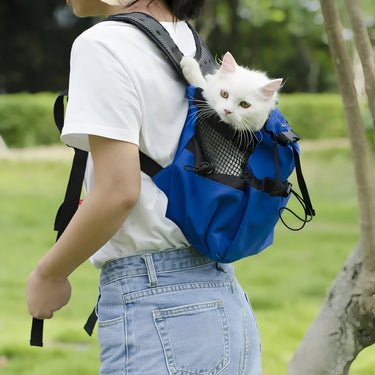 Sac à Dos pour Chien Idéal pour Randonnée et Balade