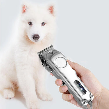Kit de Tondeuse à Poils de Chien Premium