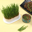 Plateau de Germination d'intérieur Innovant - Jaune base Blanch - Plumzi