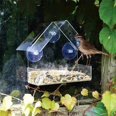Mangeoire à Oiseaux Transparent pour Fenêtres - 1 Mangeoire (29.90 €/ pcs) - Plumzi