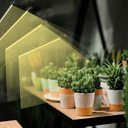 Lampe de Croissance pour Plantes d'Intérieur - Default Title - Plumzi