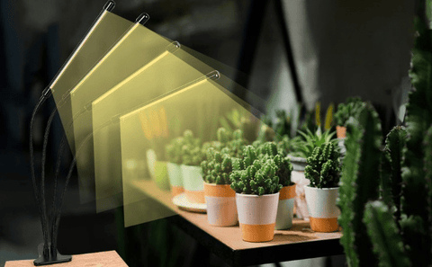 Lampe de Croissance pour Plantes d'Intérieur