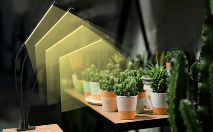 Lampe de Croissance pour Plantes d'Intérieur