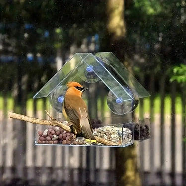 Mangeoire à Oiseaux Transparent pour Fenêtres - 1 Mangeoire (29.90 €/ pcs) - Plumzi