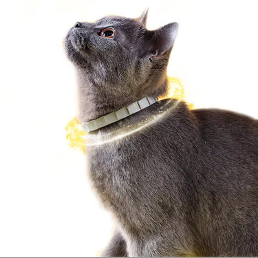 Collier anti-puces pour chat 8 mois de protection