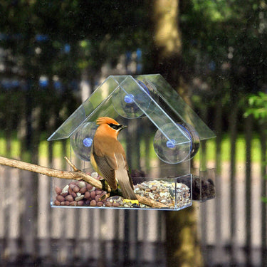 Mangeoire pour Oiseaux à Ventouses - Default Title - Plumzi