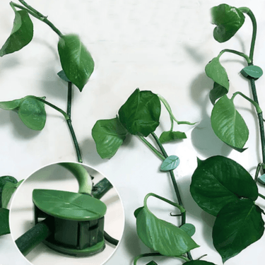 Supports Muraux Esthétiques pour Plantes d'Intérieur et d'Extérieur - Lot de 8 + 2 Offerts - Plumzi