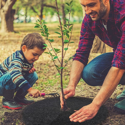 Anneaux de paillis d'arbre réutilisable - Lot de 20