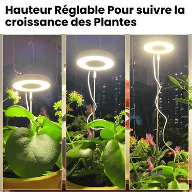 Lampe de Croissance LED d'Intérieur - 2+1 Offerte pour Plantes - 3 Moyennes (max 60cm) - Plumzi