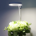 Lampe de Croissance LED d'Intérieur - 2+1 Offerte pour Plantes - 3 Moyennes (max 60cm) - Plumzi