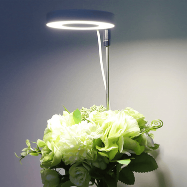 Lampe de Croissance LED d'Intérieur - 2+1 Offerte pour Plantes - 3 Moyennes (max 60cm) - Plumzi