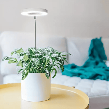 Lampe de Croissance LED d'Intérieur - 2+1 Offerte pour Plantes - 3 Moyennes (max 60cm) - Plumzi