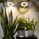 Lampe de Croissance LED d'Intérieur - 2+1 Offerte pour Plantes - 3 Moyennes (max 60cm) - Plumzi