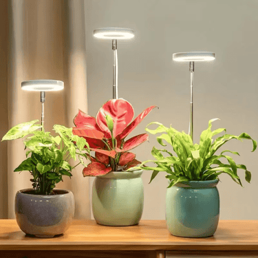 Lampe de Croissance LED d'Intérieur - 2+1 Offerte pour Plantes - 3 Moyennes (max 60cm) - Plumzi