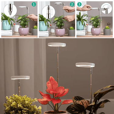 Lampe de Croissance LED d'Intérieur - 2+1 Offerte pour Plantes - 3 Moyennes (max 60cm) - Plumzi