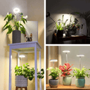 Lampe de Croissance LED d'Intérieur - 2+1 Offerte pour Plantes - 3 Moyennes (max 60cm) - Plumzi