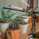 Lampe de Croissance pour Plantes d'Intérieur - Default Title - Plumzi