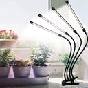 Lampe de Croissance pour Plantes d'Intérieur - Default Title - Plumzi