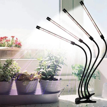 Lampe de Croissance pour Plantes d'Intérieur - Default Title - Plumzi