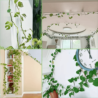 Supports Muraux Esthétiques pour Plantes d'Intérieur et d'Extérieur - Lot de 8 + 2 Offerts - Plumzi