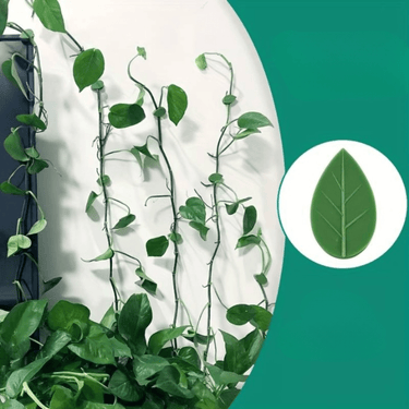 Supports Muraux Esthétiques pour Plantes d'Intérieur et d'Extérieur - Lot de 8 + 2 Offerts - Plumzi