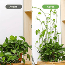 Supports Muraux Esthétiques pour Plantes d'Intérieur et d'Extérieur - Lot de 8 + 2 Offerts - Plumzi