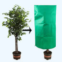 Housse de Protection Isolante Antigel pour Plantes d'Extérieur - M (100 x 120 cm) - Plumzi
