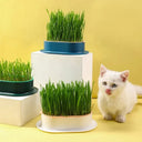 Plateau de Germination d'intérieur Innovant - Jaune base Blanch - Plumzi