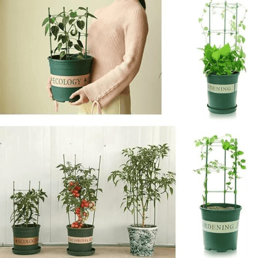 Support Ajustable pour Plantes Grimpantes - 1 Support (24.90 €/ pcs) - Plumzi