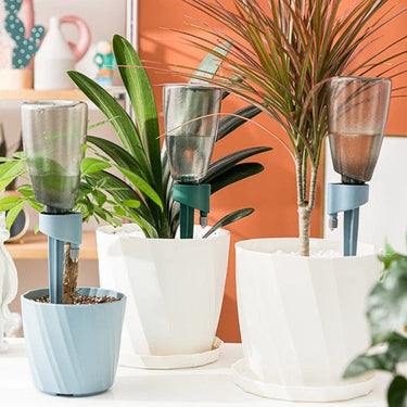Système d'Arrosage Automatique Innovant - 3 Pièces + Bouteilles Gratuites - Vert - Plumzi