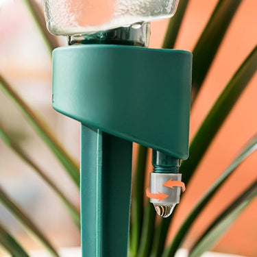 Système d'Arrosage Automatique Innovant - 3 Pièces + Bouteilles Gratuites - Vert - Plumzi