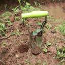 Transplanteur Manuel de Semis Pratique et Efficace - Vert foncé - Plumzi