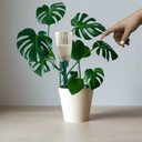 Système d'Arrosage Automatique Innovant - 3 Pièces + Bouteilles Gratuites - Vert - Plumzi